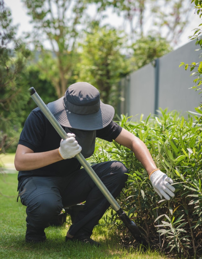 Entretien et désherbage de massifs de jardin – L’Ère du Bois